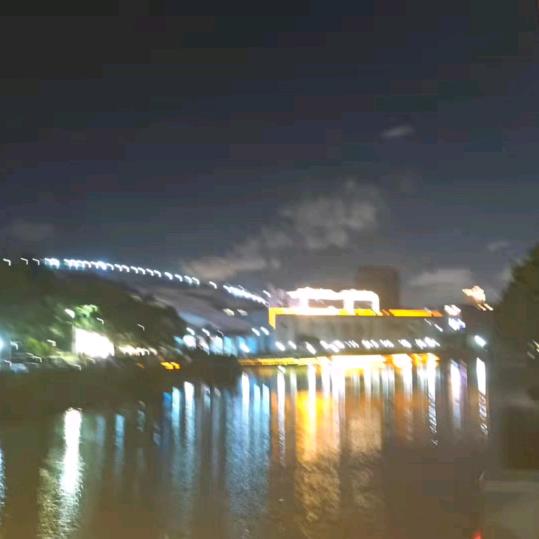 玫瑰