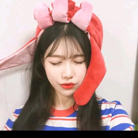 菲儿爱挖宝