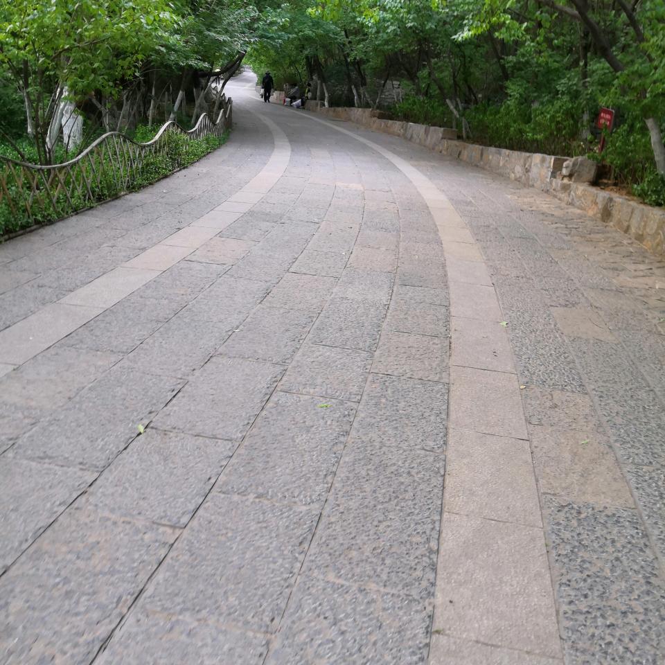 萝卜青菜各有所爱