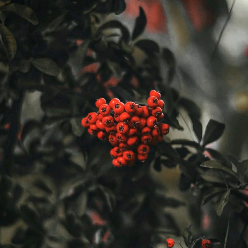 唯有时光忆年少☜