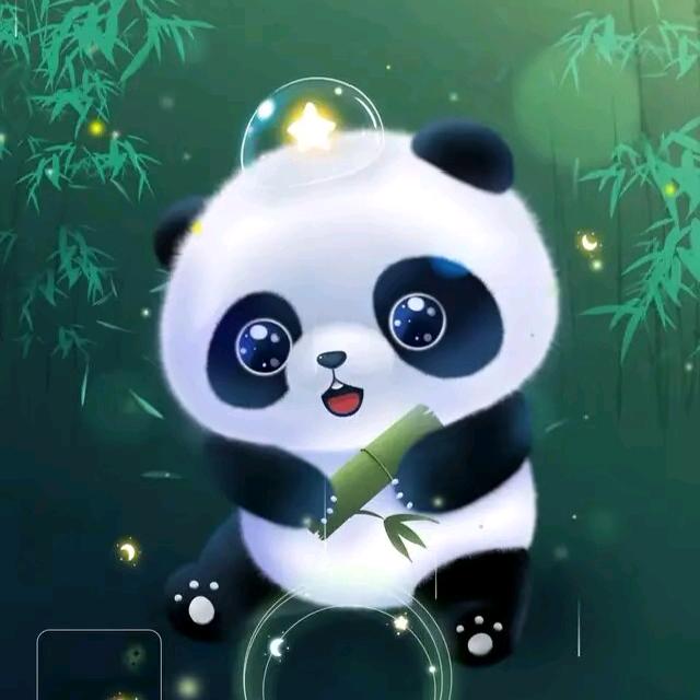 青春校园的高悦头像