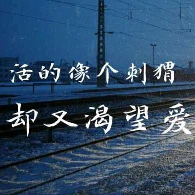 情深似海