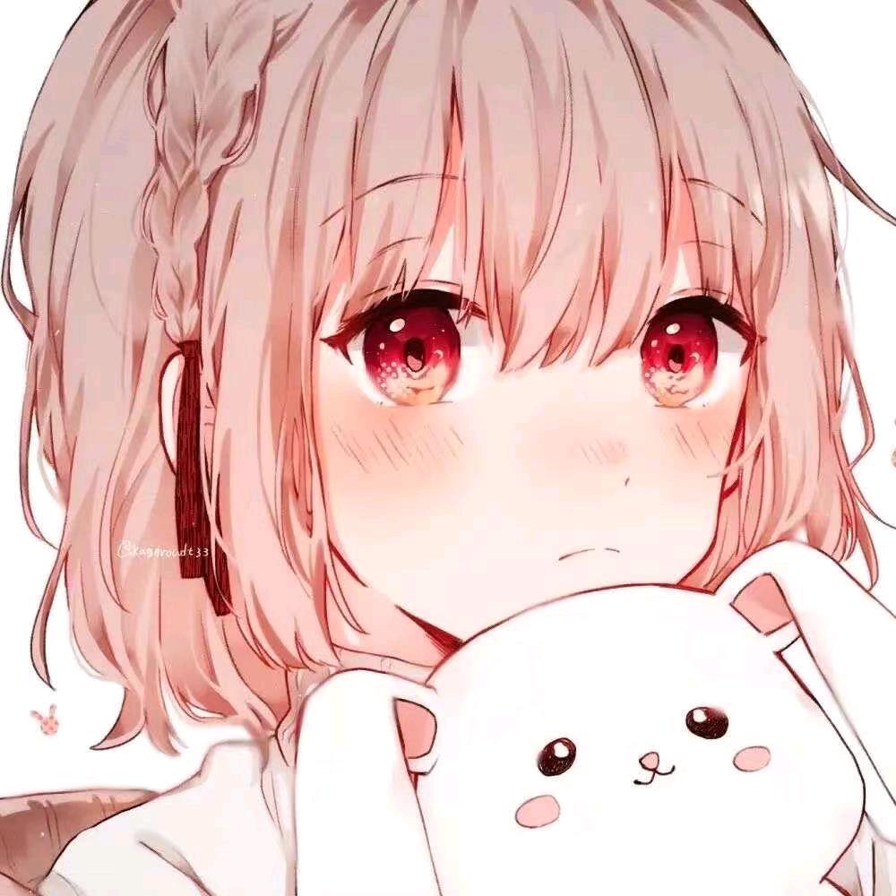 二次元收集控