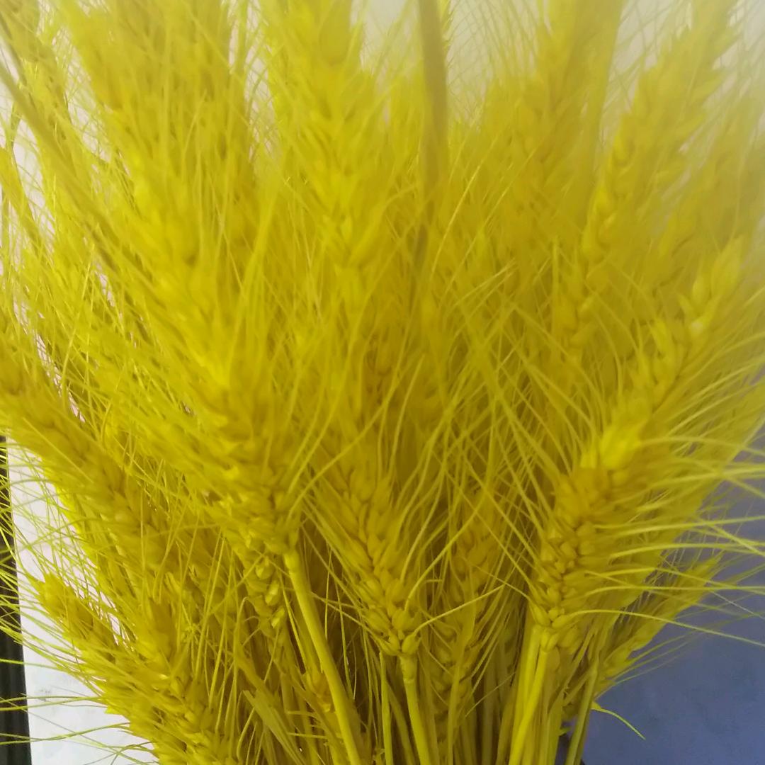 长沙路40号黄焖鸡米饭