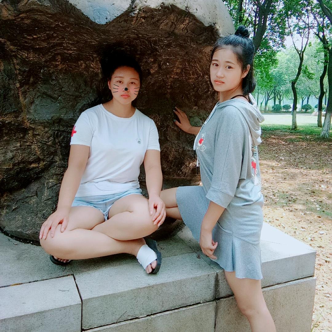 勤劳的小蜜蜂