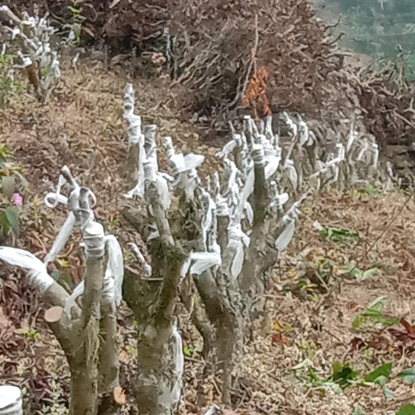 爱玩山，小哥哥