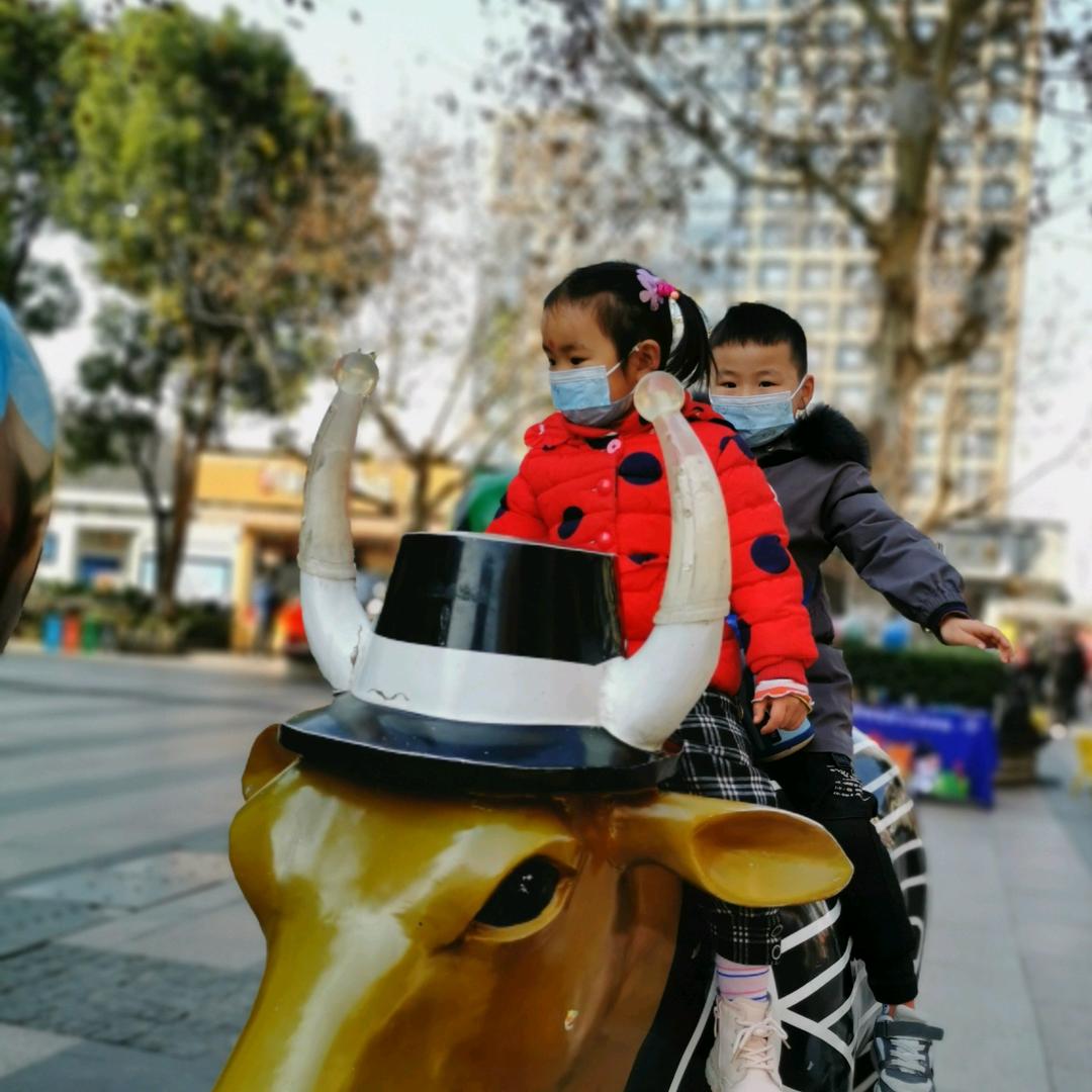 讨厌纯牛奶