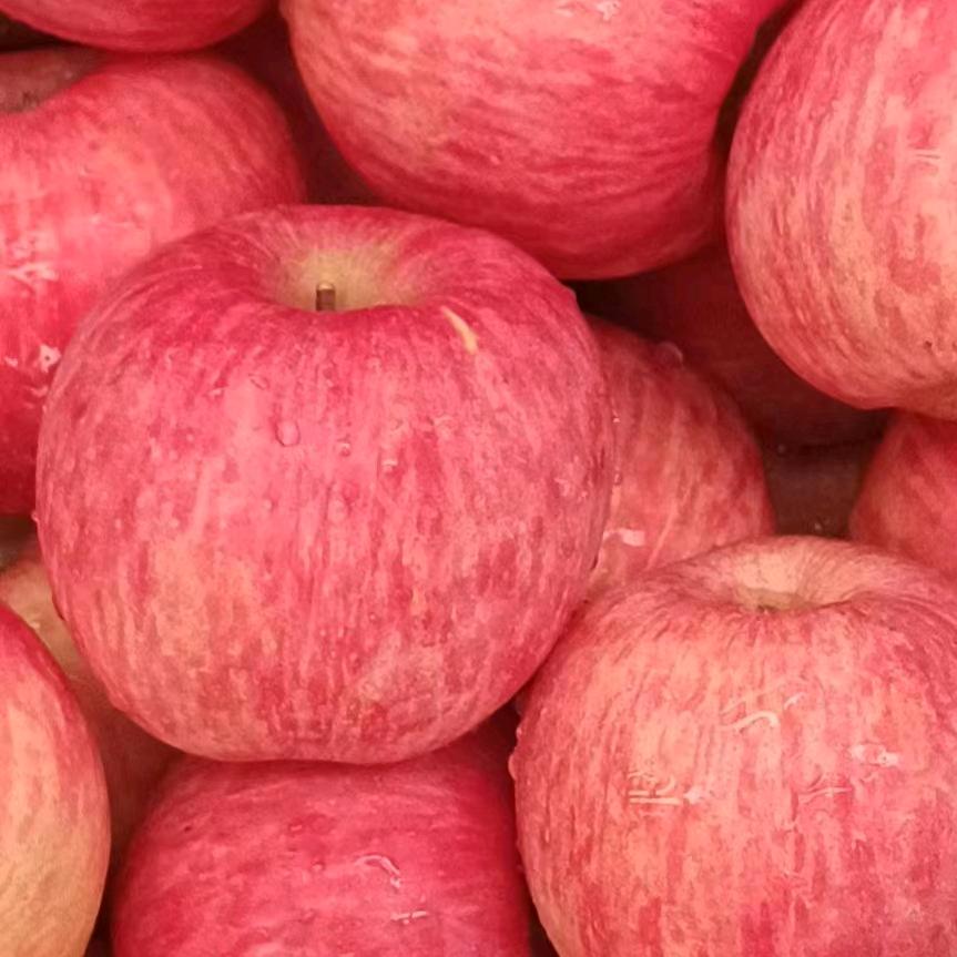 栖霞苹果经纪人唐姐