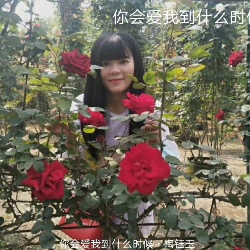 成都富士康细姐【内部推荐】