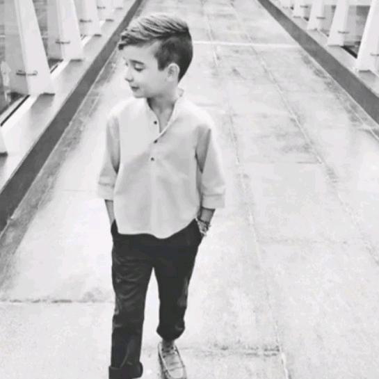 曾小贤爬宠繁育工作室