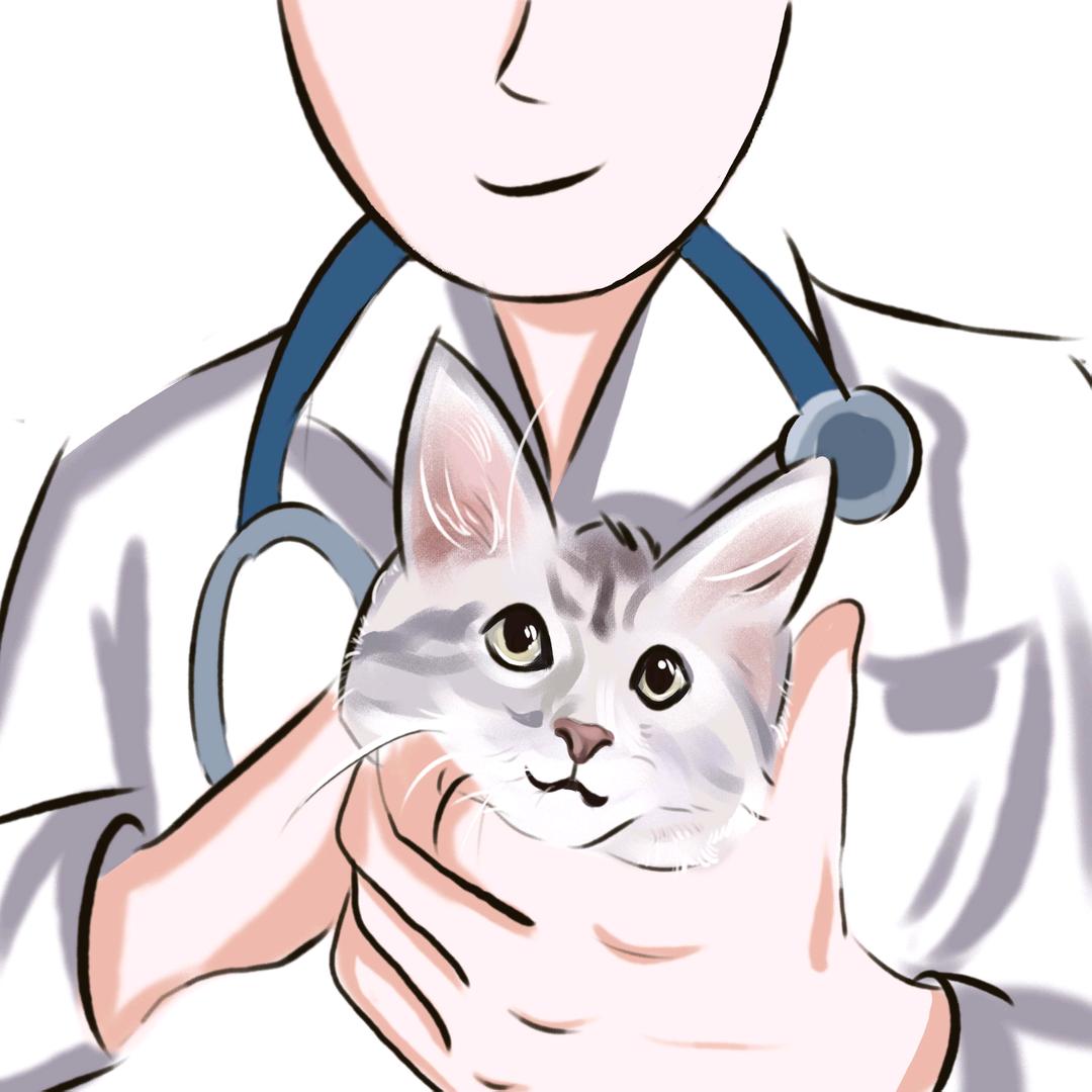 潘sir宠物课堂