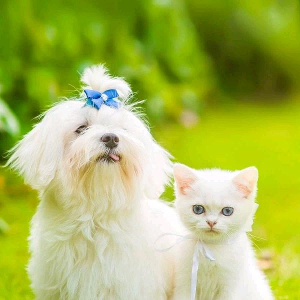 为自己好好活着