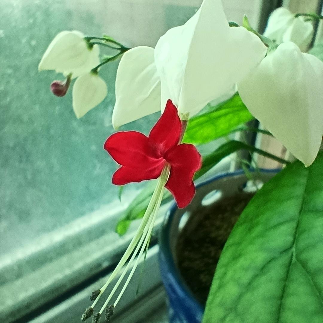 用户6680823870252平常心