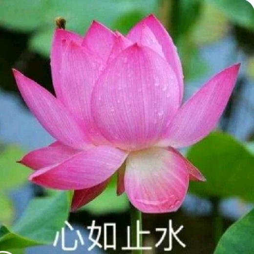 健康手法锻炼