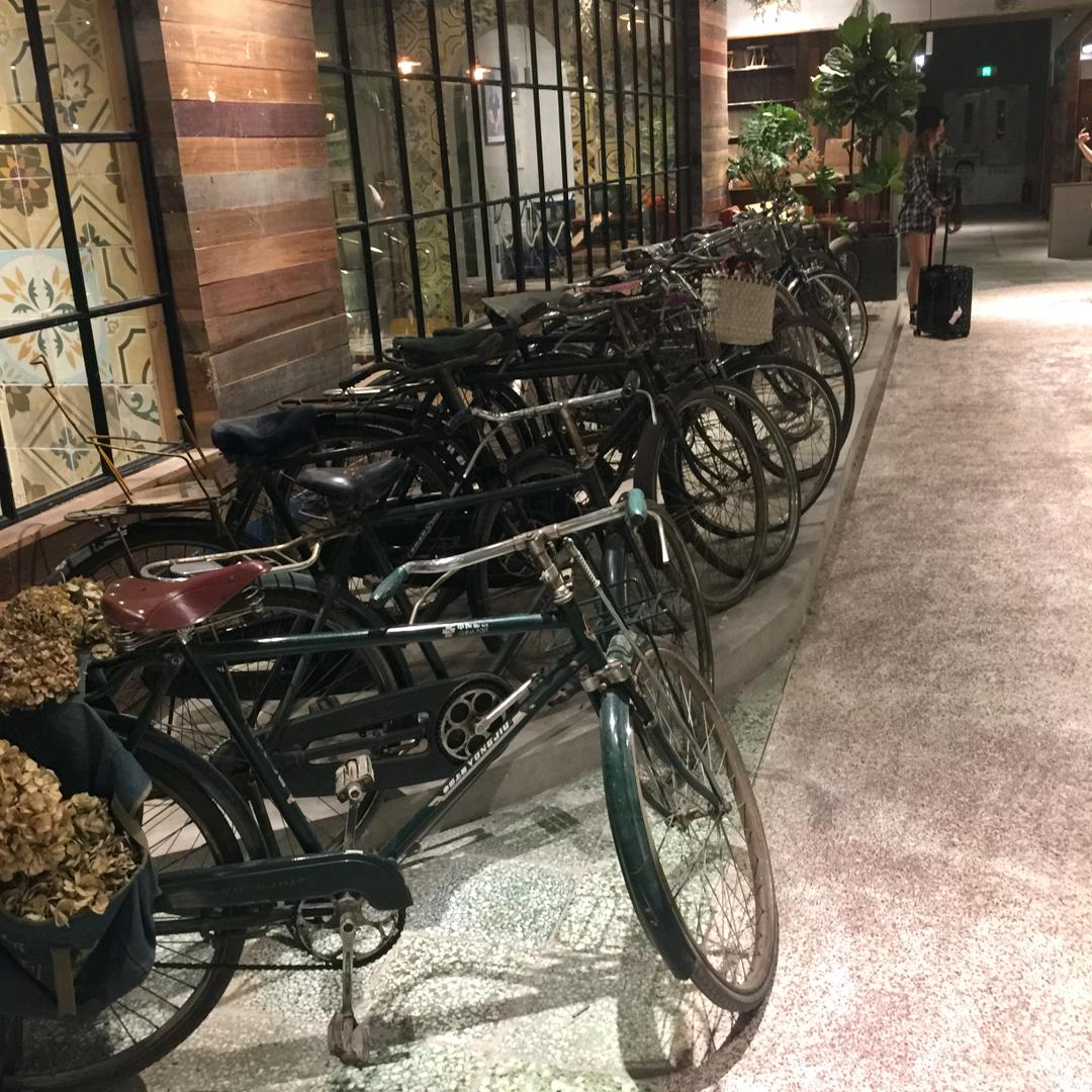 白天不懂夜的黑💤