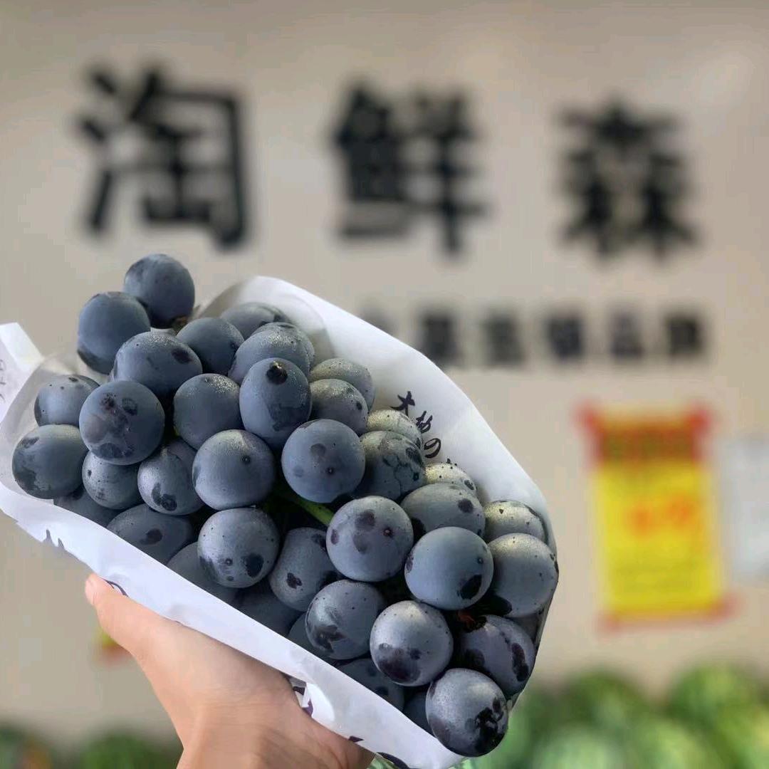 淘鲜森水果小时达