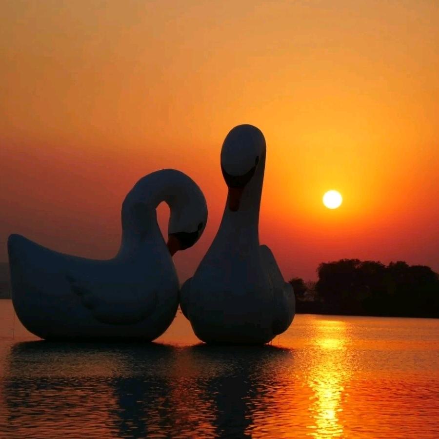 ) 倪的温柔、只许珴拥有