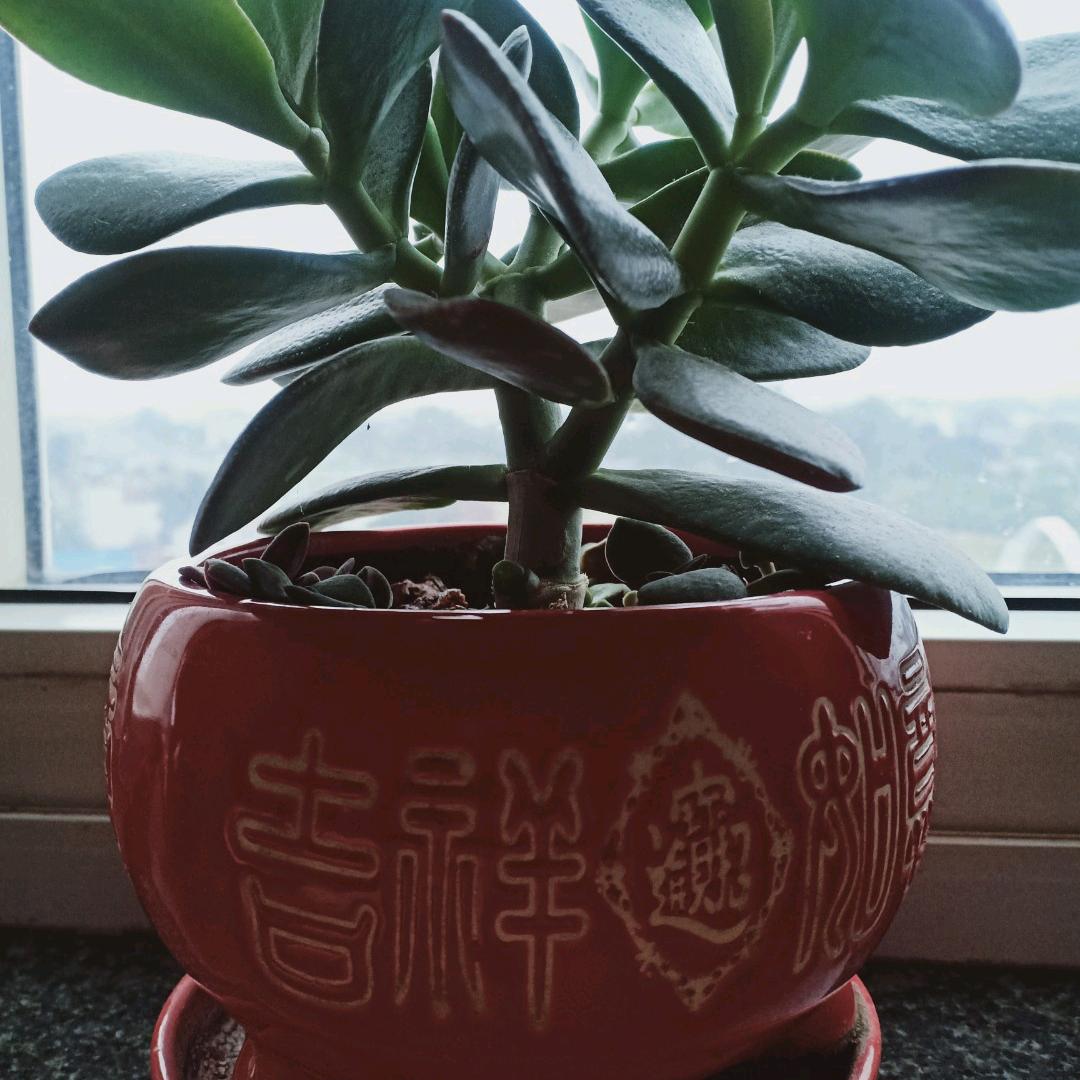 知足常乐！