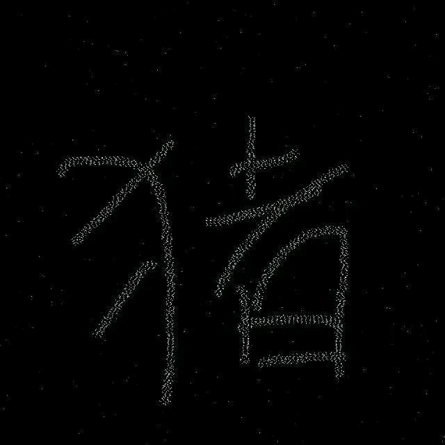 拍拍