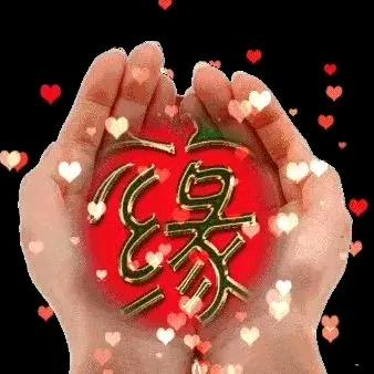 默默向上