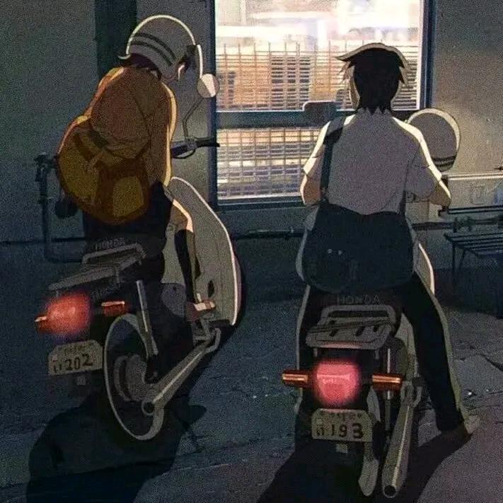 Z°