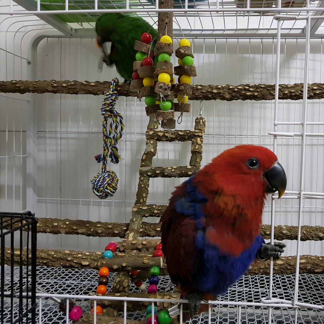 查无此人-右心脏