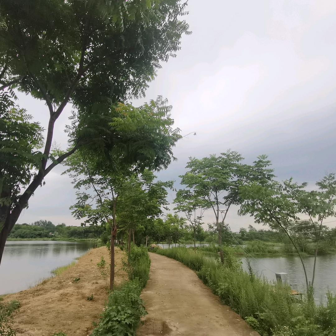 姜家塆钓场🐟🐠阿恒