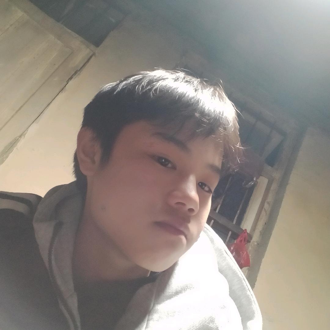 桂花树上的金凤凰