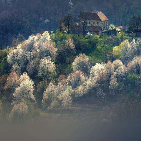从头开始学会爱自已