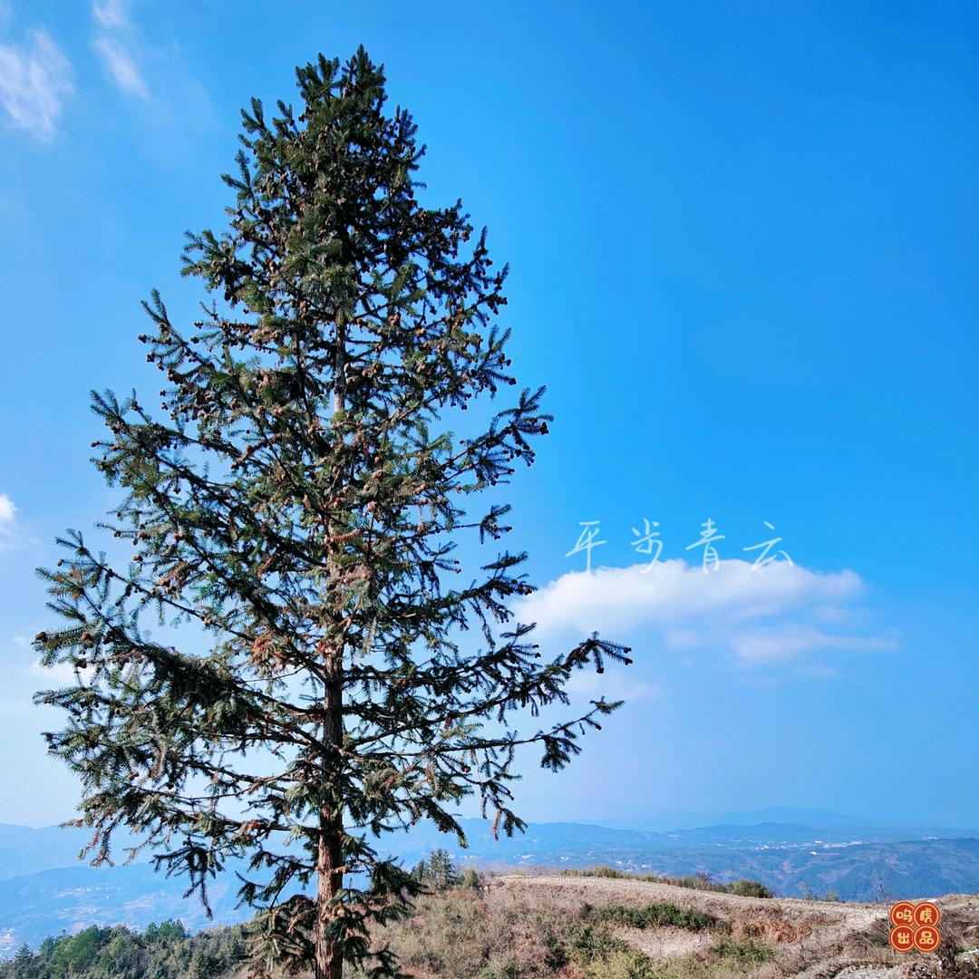 🌈有丶东西📿