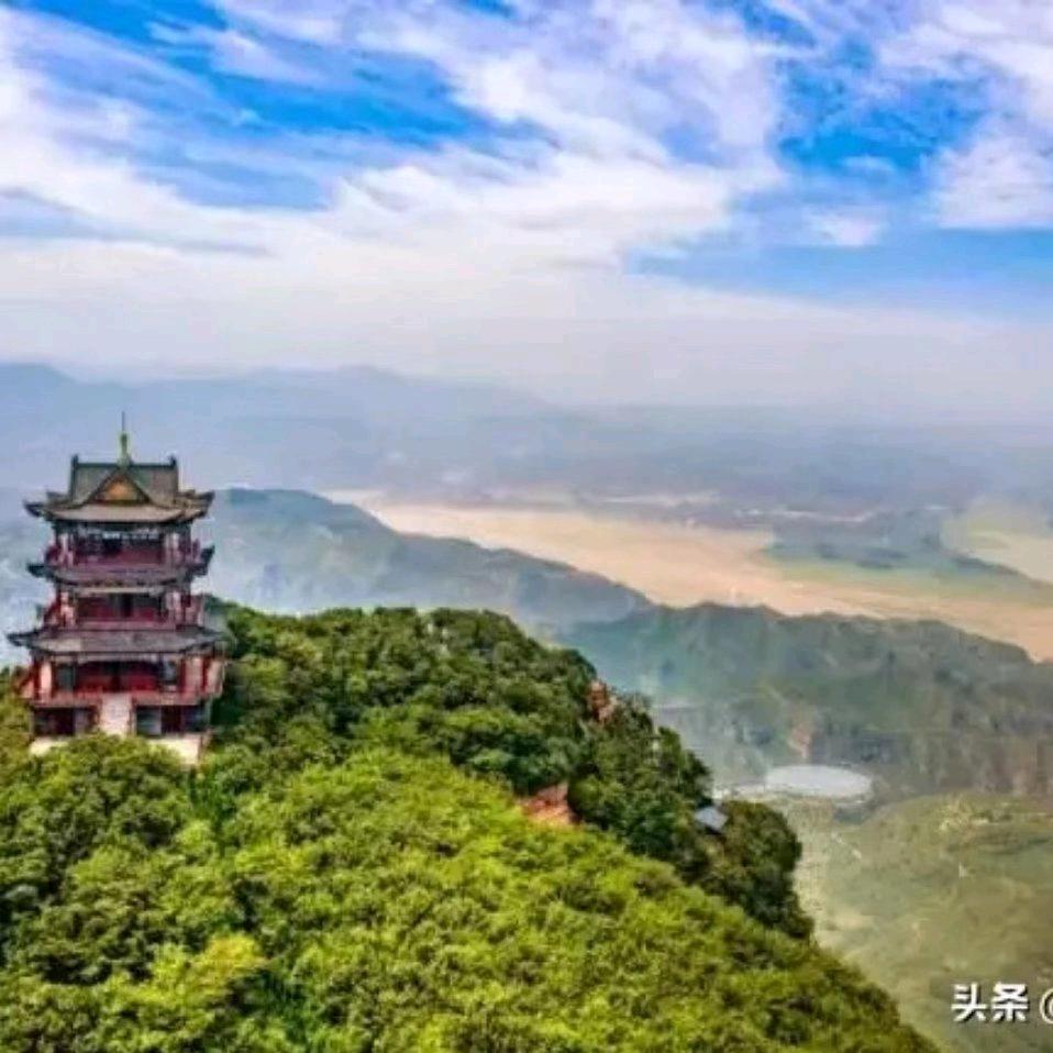 谁懂我心？🐅（兵妈妈）