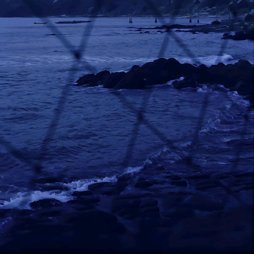 杰尼龟不会难过