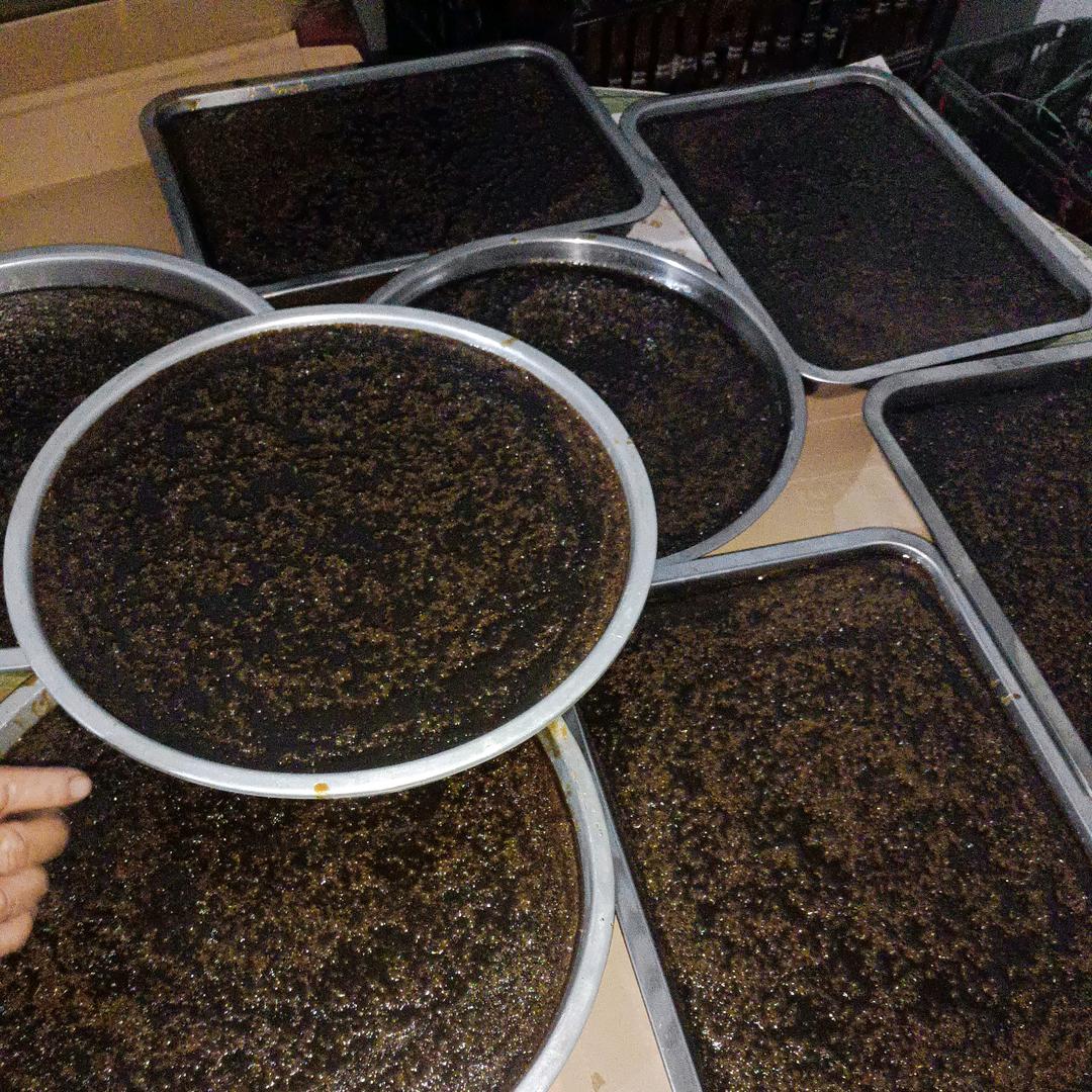 海南三公膏