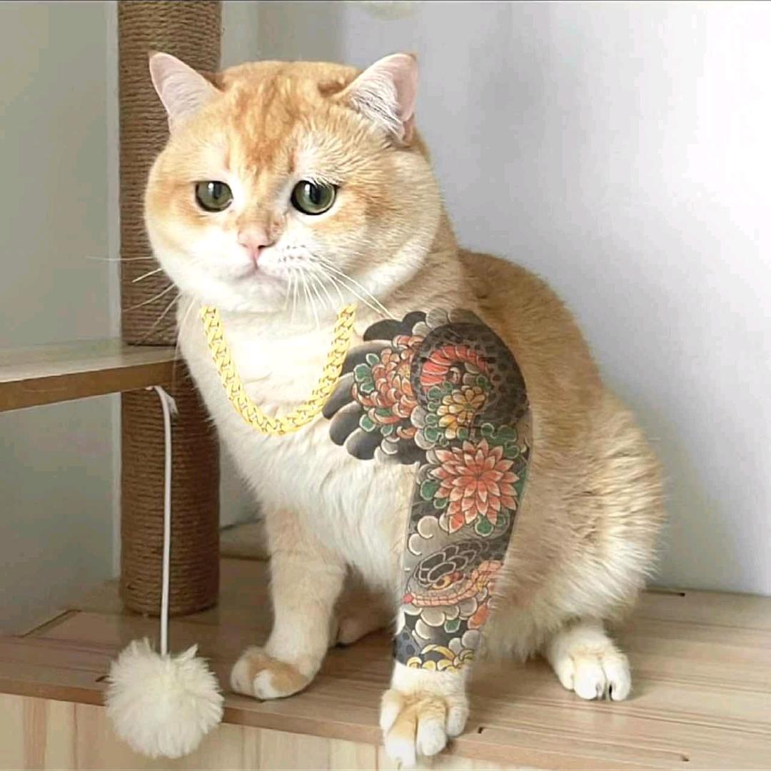 子山有木