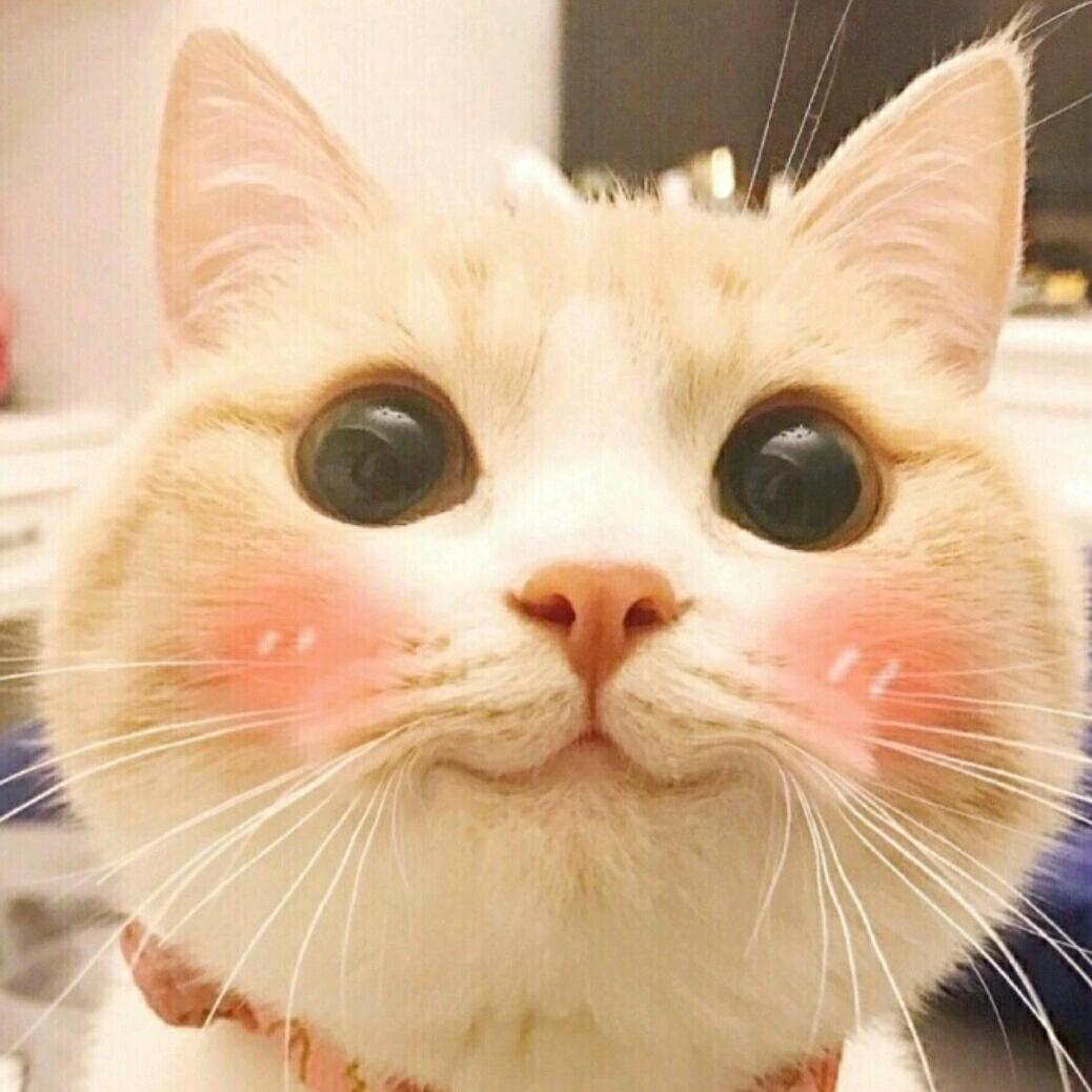 Z。