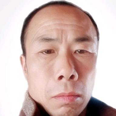 杨不虎