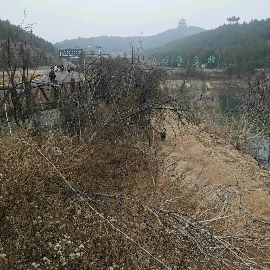 襄樊板车协会，维修主任