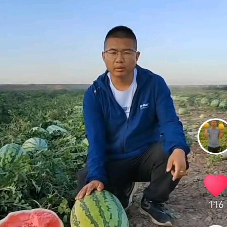 富强专业销售西瓜种子、代办代发西瓜