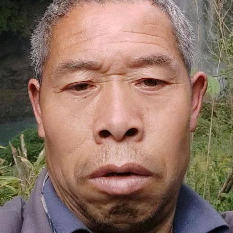 老杨