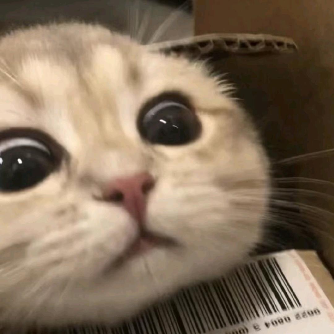 捣蛋鬼别捣蛋！
