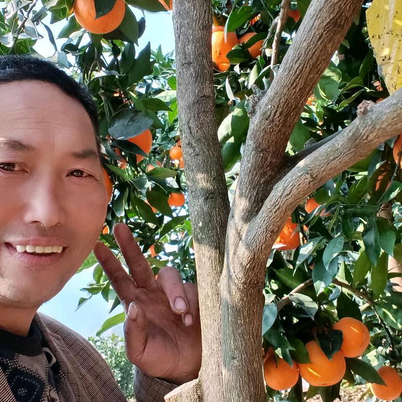 雷波绿色鲜果店（晚上七点五十）