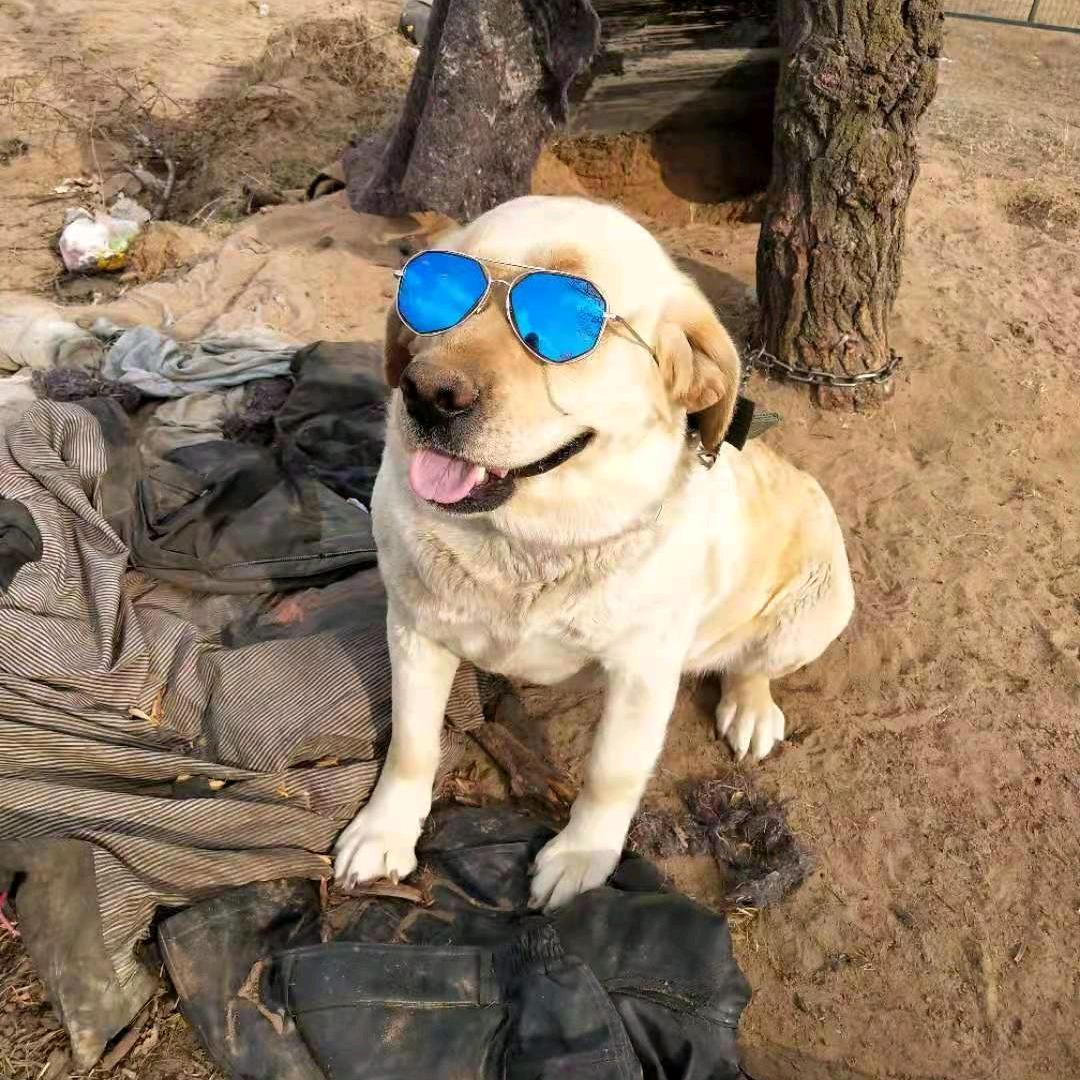 🕷向钱看，向厚赚