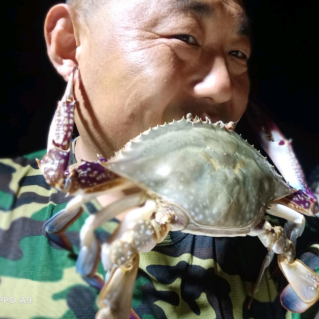 海洋之心