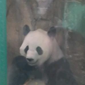 苏威仲夷学校日常