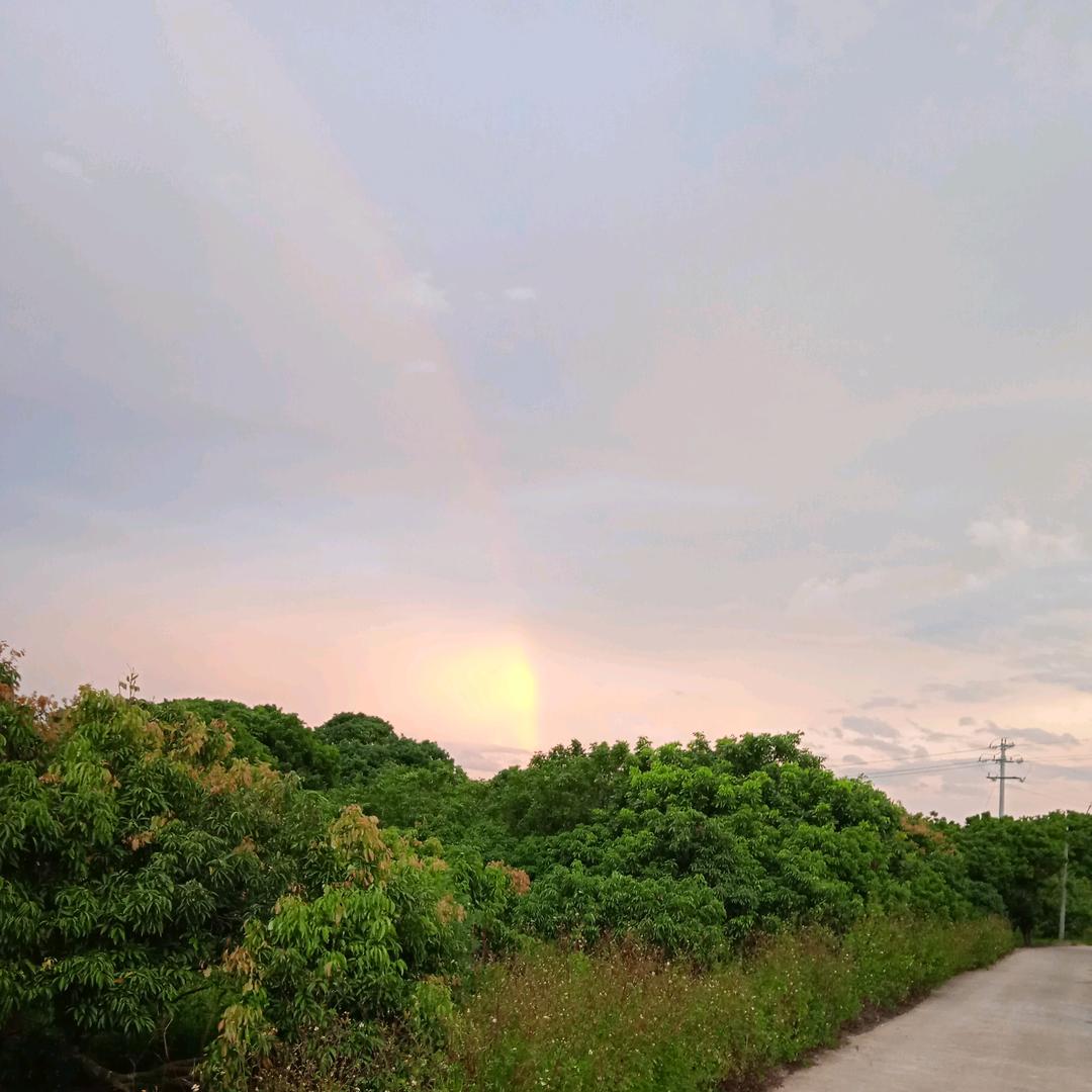 收废品的小秋昊