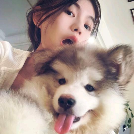 伤心的猪大肠_
