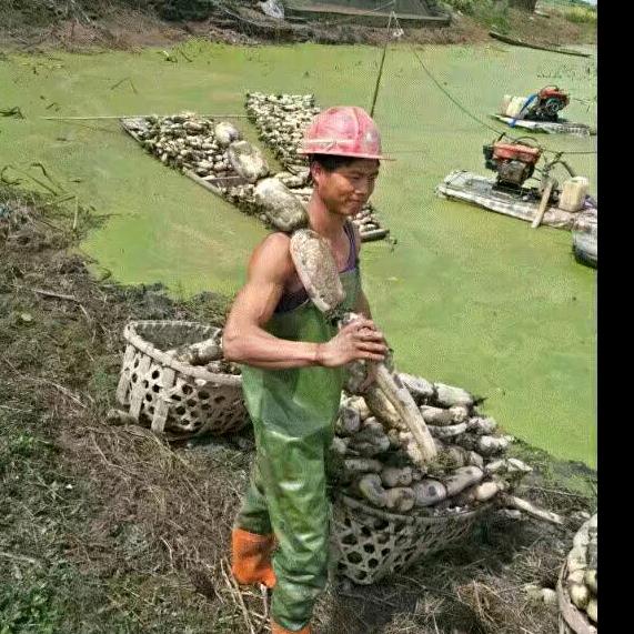 唐正风