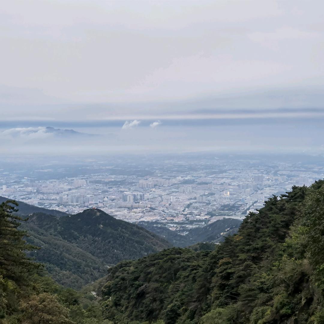 小酒窝