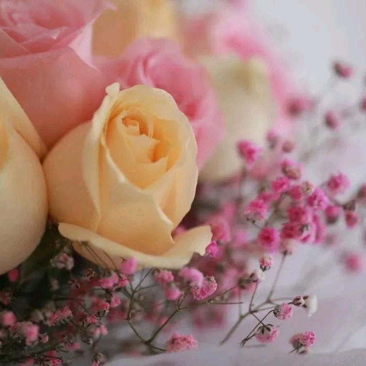 35739（63年，兔）