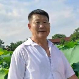 老璞